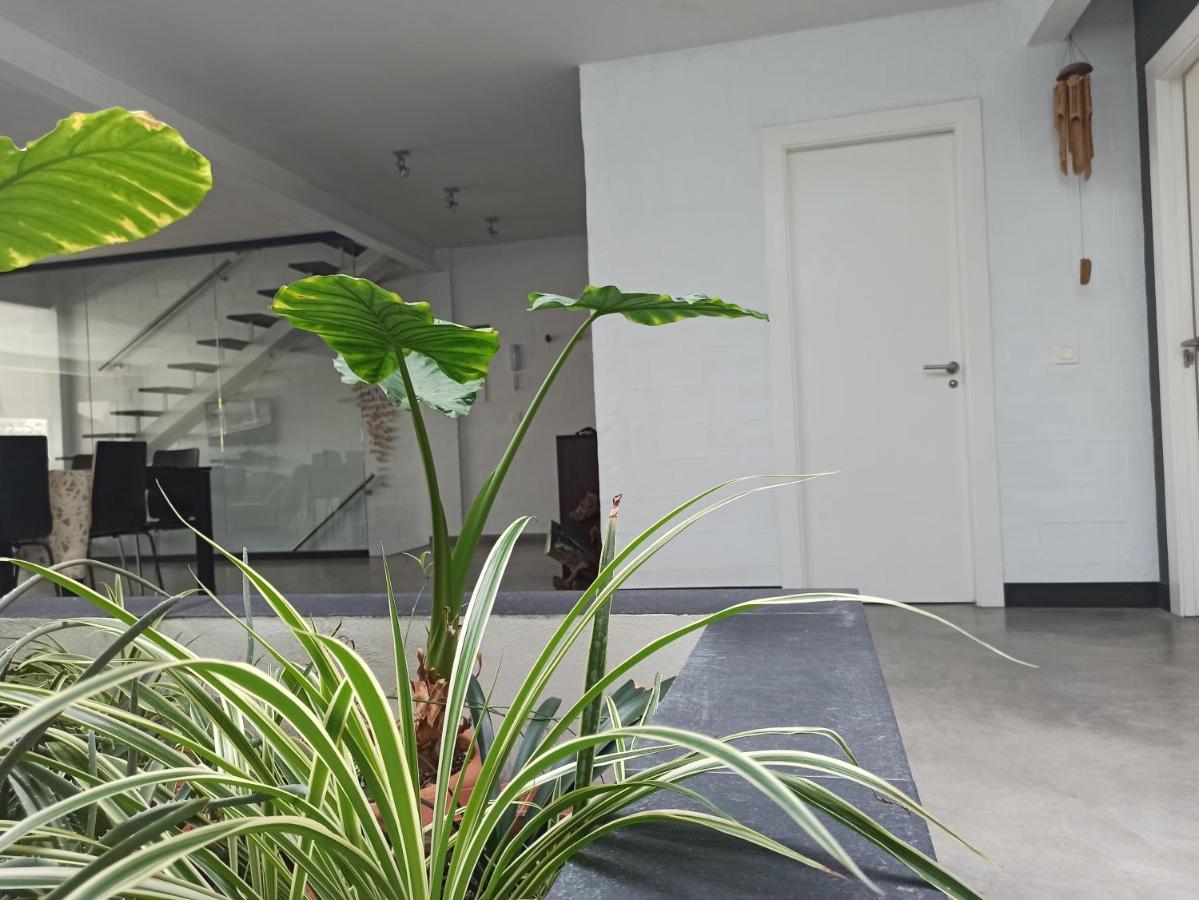 Loft Carrasketa Apartment Alfafara Екстериор снимка